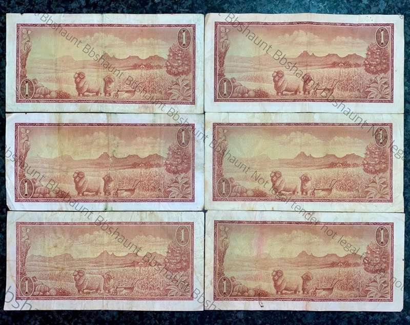 TW DE JONGH R1 - A SERIES SPRINGBUCK WTM ( 1 BID TAKES ALL 6 NOTES)
