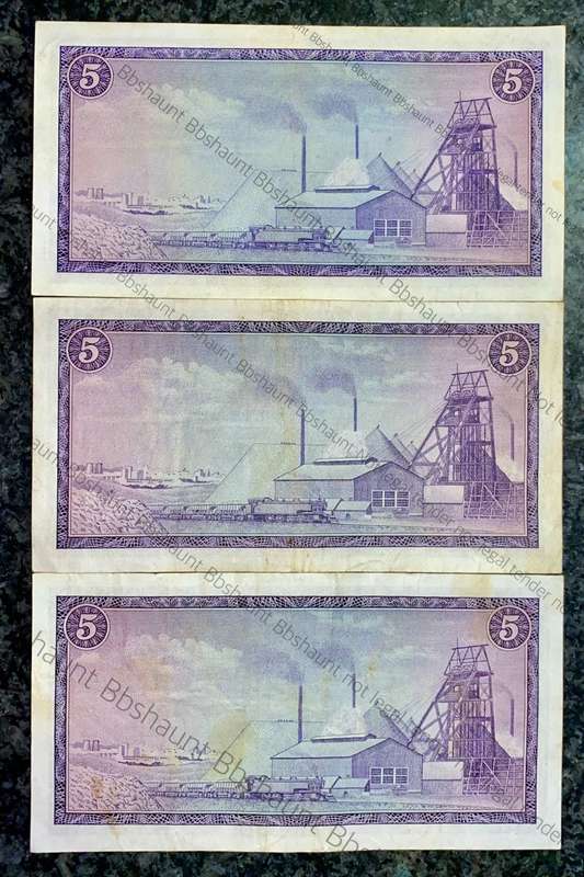 TW DE JONGH R5 THREE DIFFERENT COLOURS DARK TO LIGHT (1 BID TAKES ALL)