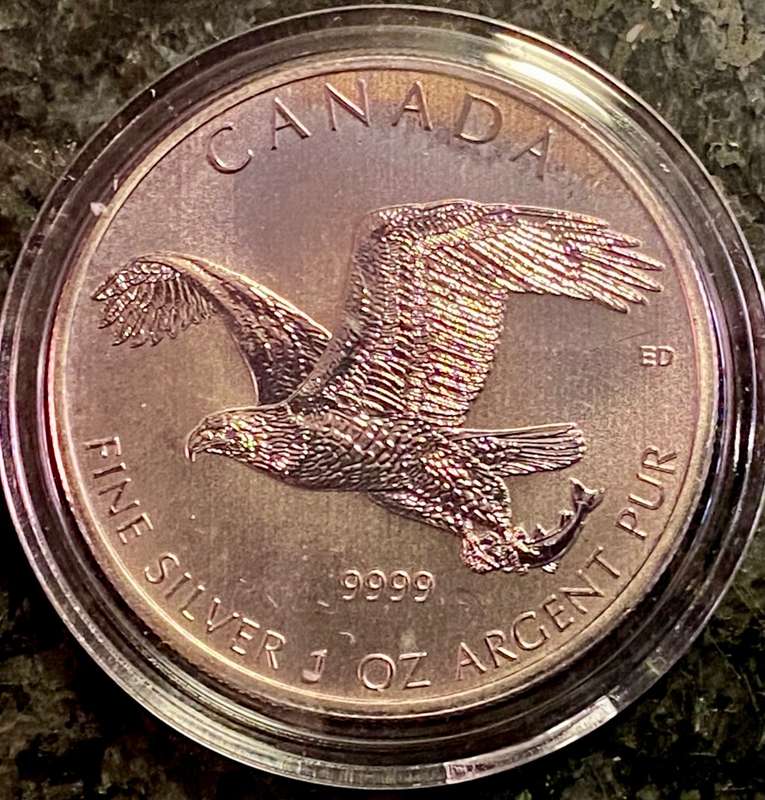 CANADA 1OZ SILVER 5 DOLLAR - AMAZING TONING WHITEHEAD EAGLE - 2014 UNC .999 SILVER COMES IN CAPSULE
