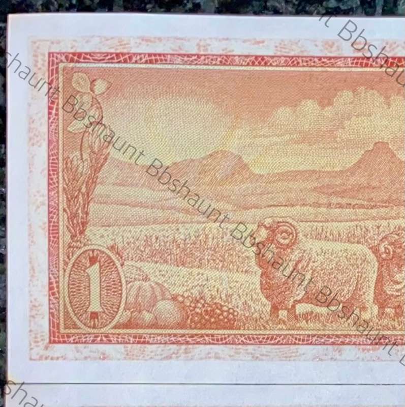 TW DE JONGH ERROR NOTES R1 IN SEQUENCE B171 /862872-873 -- 2ND ISSUE 1973(1 BID TAKES ALL)