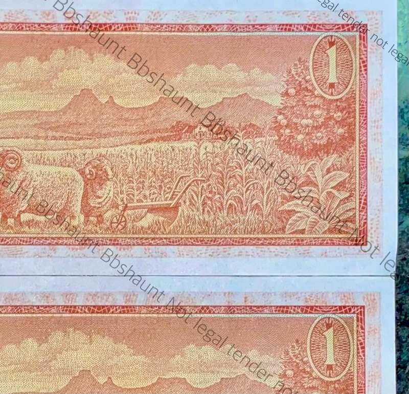 TW DE JONGH ERROR NOTES R1 IN SEQUENCE B171 /862872-873 -- 2ND ISSUE 1973(1 BID TAKES ALL)