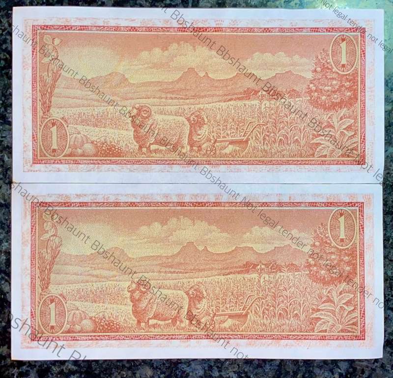 TW DE JONGH ERROR NOTES R1 IN SEQUENCE B171 /862872-873 -- 2ND ISSUE 1973(1 BID TAKES ALL)