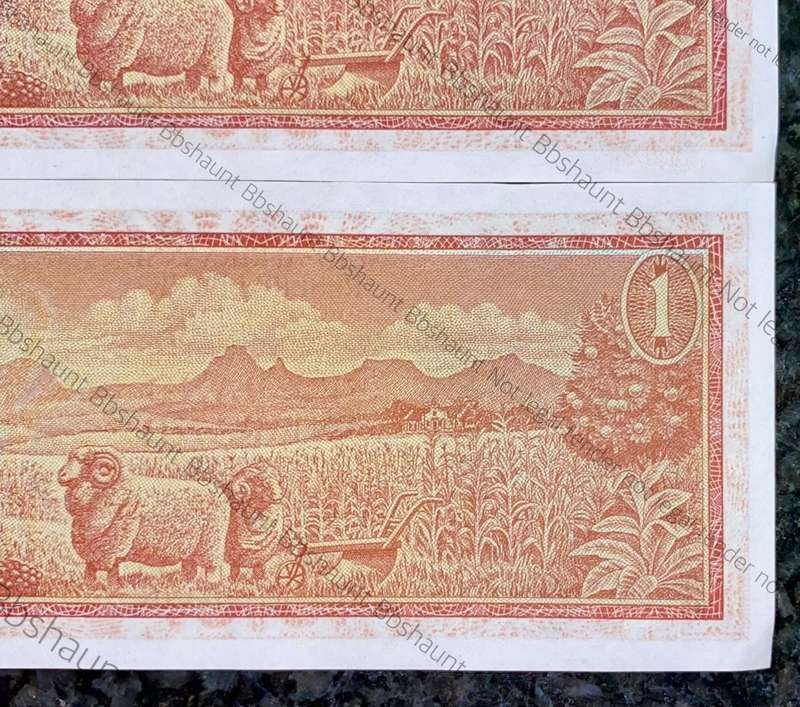 TW DE JONGH ERROR R1 IN SEQUENCE B171 /862875 AUNC 3RD ISSUE 1975(1 BID TAKES ALL)