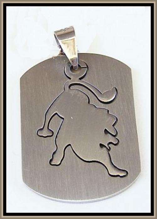 *Free Shipping* - STAINLESS STEEL HOROSCOPE PENDANT - LEO