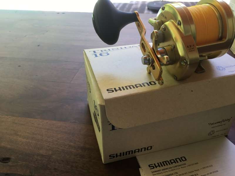 Shimano Trinidad TN 16 Gold