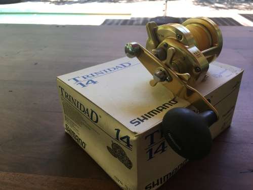 Shimano Trinidad TN 14 Gold