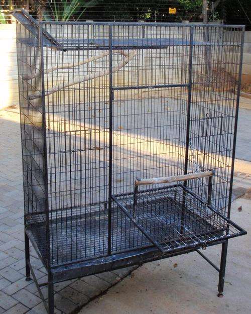 Parrot Cage