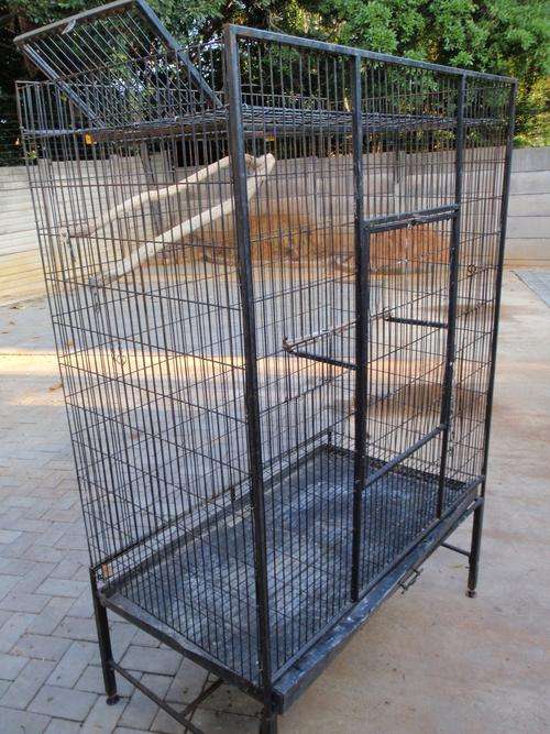 Parrot Cage