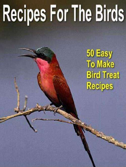 Make your own bird treats