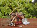 Fly Fishing