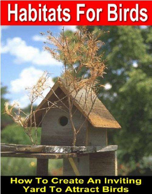 How to Attract Birds to your Garden