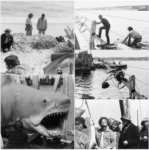 JAWS by Peter Benchly. First Published 1974 Andre Deutsch.