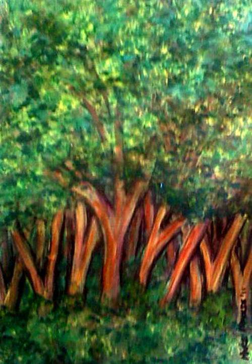 Original Mari Mackie Watercolours - Forest - 297 X 420mm