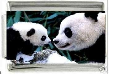 Italian Charms 9mm - Fits Nomination - ENAMEL - MOMMY AND BABY PANDAS