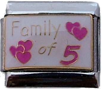 Italian Charms 9mm- Fits Nomination - Enamel - FAMILY OF 5