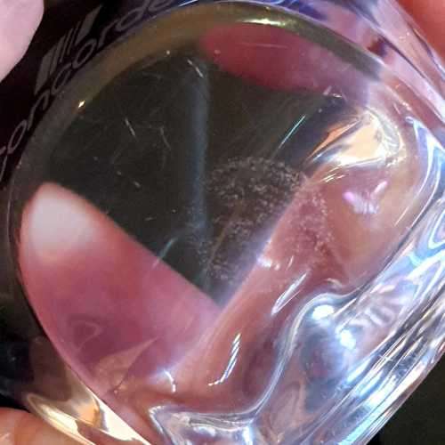 Rare Air France Concorde 1st Class Gift - Portieux Crystal Owl Paperweight - Grows in Value