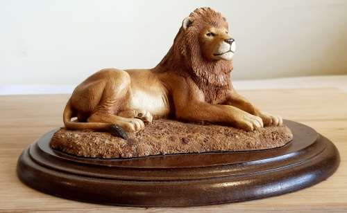 Highly Detailed Feathers of Knysna Lion on Wooden Stand