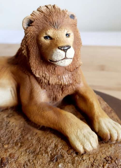 Highly Detailed Feathers of Knysna Lion on Wooden Stand