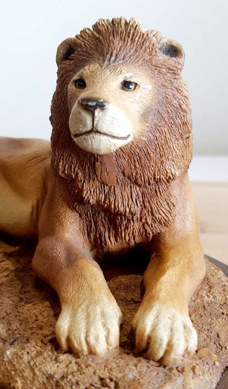 Highly Detailed Feathers of Knysna Lion on Wooden Stand