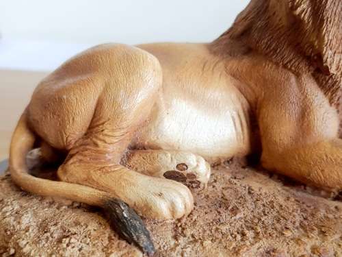 Highly Detailed Feathers of Knysna Lion on Wooden Stand