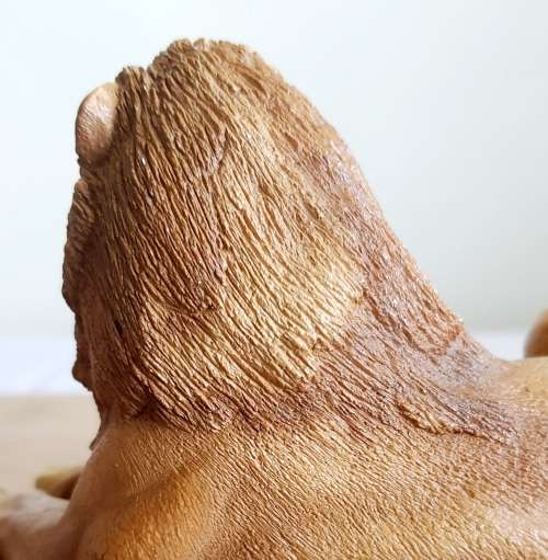 Highly Detailed Feathers of Knysna Lion on Wooden Stand
