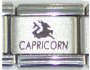 Italian Charms - Fits Nomination - Laser - Zodiac - CAPRICORN