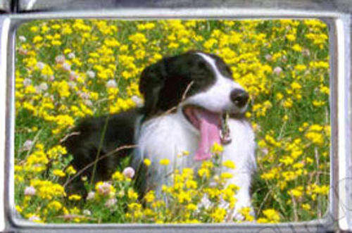 Italian Charms - Fits Nomination - Enamel - BORDER COLLIE