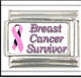 Italian Charms - Fits Nomination - Ribbons - BREAST CANCER SURVIVOR