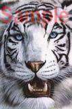 Italian Charms 9mm - Fits Nomination - Enamel - WHITE TIGER