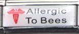 Italian Charms - Fits Nomination - SUPER LINK - ****MEDICAL SALE**** ALLERGIC TO BEES