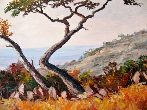 Large Original Oil Painting by S.A. Artist