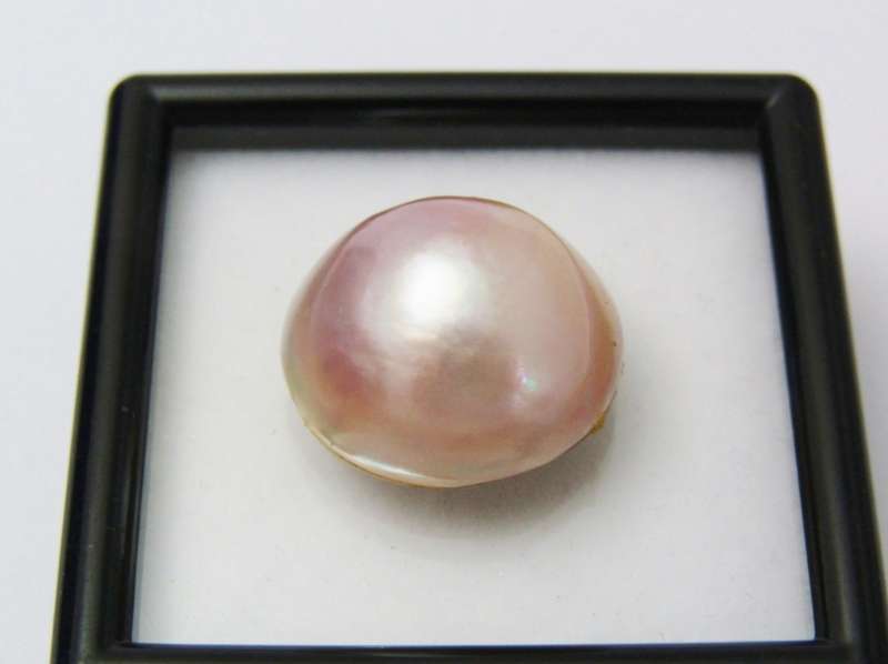 Genuine Cultured Mabe Pearl (Unmounted)