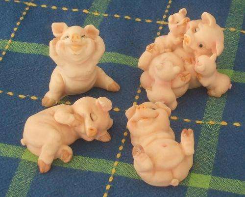 A group of pigs