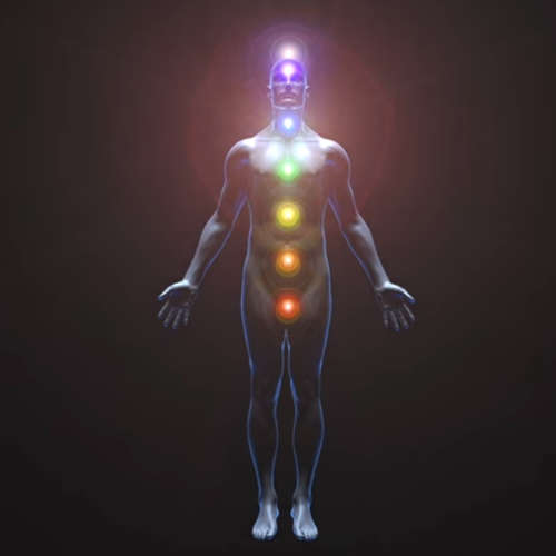 Dr Joe Dispenza Progressive Workshop + BONUS [Complete 9 Week Video Course | 14.4GB | USB Drive]