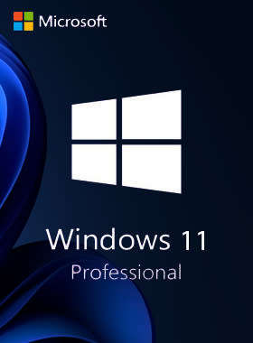 Windows 11
