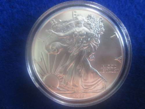 1oz - American Silver Eagle in Capsule - 2017.