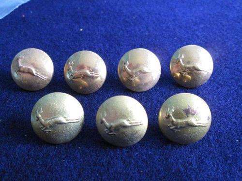 SA Army Brass Uniform Buttons
