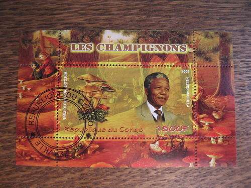 CONGO 2009 MANDELA and MUSHROOMS.  `LES CHAMPIONS` CTO. (BID PER STAMP).