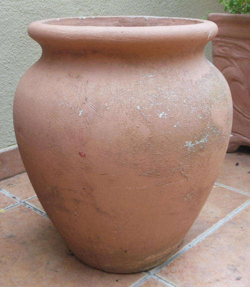 GARDEN POT #3