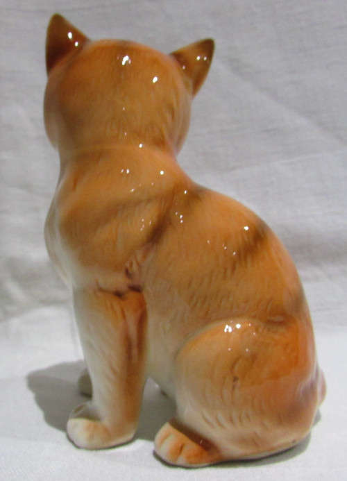 GINGER CAT