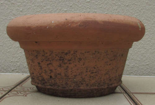 TERRACOTTA POT  #9