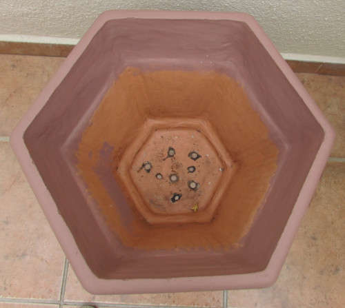 LARGE TERRACOTTA PLANT POT  #5