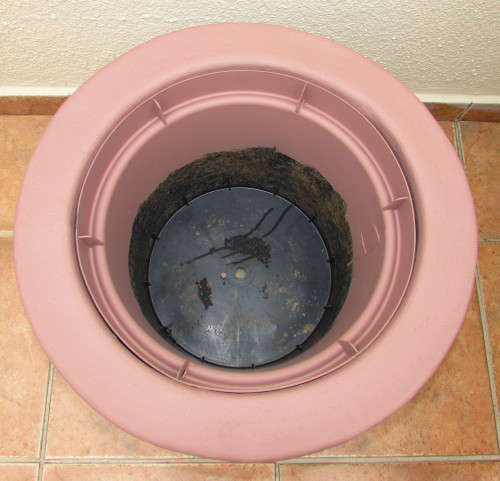 PLANT POT  #6 -  43cm high - FRESHLY PAINTED
