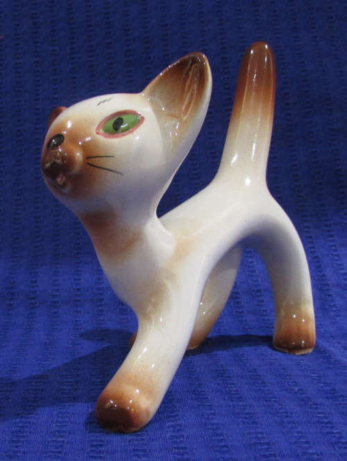 CAT WITH ATTITUDE