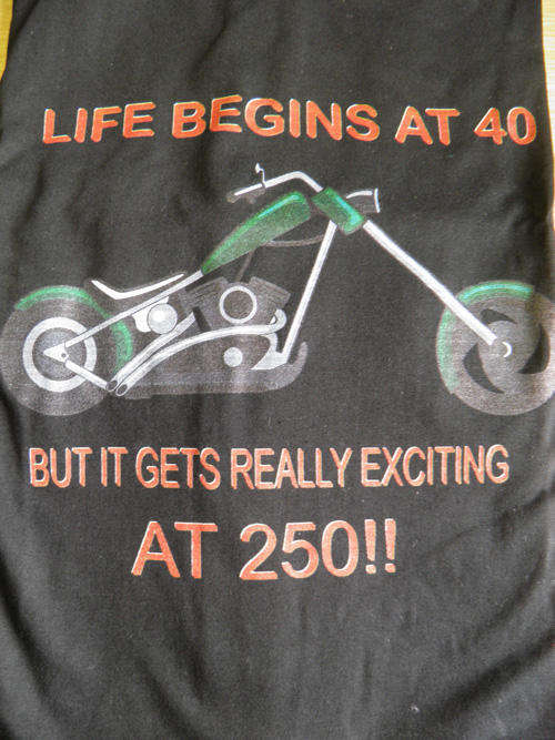 Funny T-shirt (S)