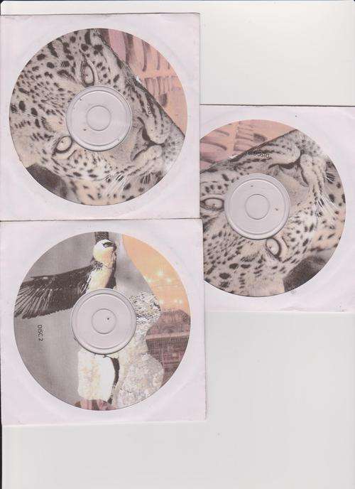 Ultimate Embroidery Designs Collection 50 000+-