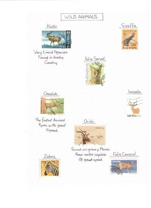 WILD ANIMALS,DUCKS AND RETRIEVER DOGS 2 PAGES SEE PICS!!!!