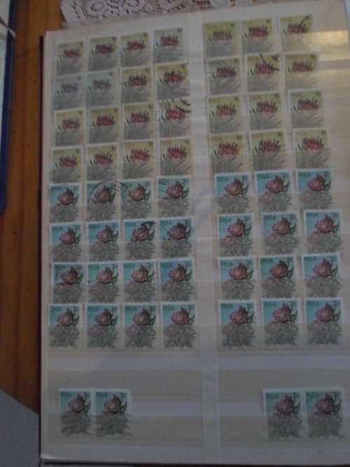 LARGE ALBUM 30 FULL PAGES RSA MINT AND USED STAMPS ONLY SOME PAGES SCANNED SEE PICS