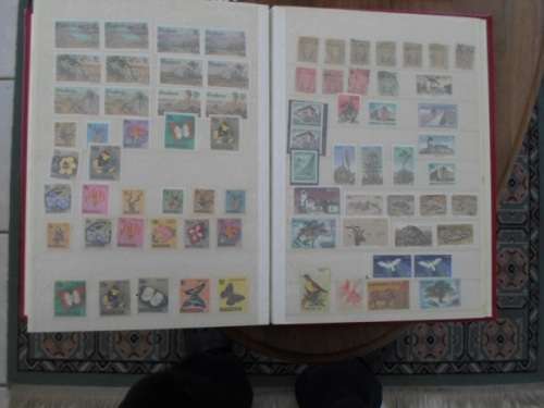 LARGE VERY NEAT ALBUM SA UNION,RSA HOMELANDS,RHODESIA,ZIMBABWE GREAT LOT SEE PICS