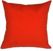 SCATTER CUSHION (include inner)